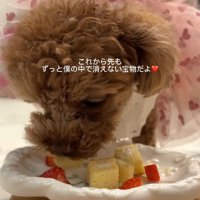 ラナちゃんの誕生日会