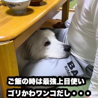 食事中も監視！