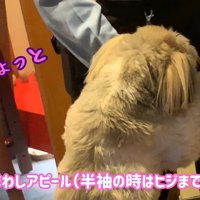 ペロペロ…ペロペロ…