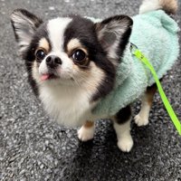 あざとい