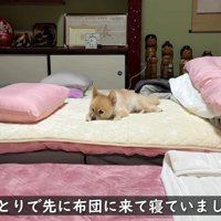 夜は布団で眠ります