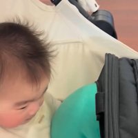 おしりがはみ出るしっぽちゃん