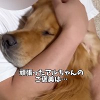 お父さんに甘える大型犬