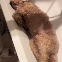 無駄のない拒否行動にクスッ