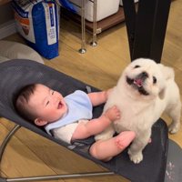 2人で笑い合う光景にホッコリ