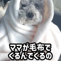 毛布で包むと…