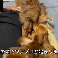 ワンプロ開始！