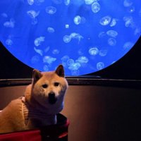 終始テンション高め