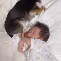 すずちゃんと赤ちゃん4