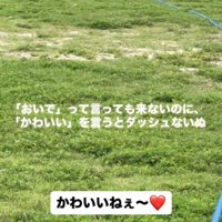 犬に「かわいいね」と声をかける飼い主