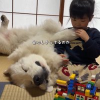 甘えてリラックス