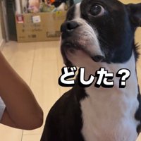 優しい目でアイコンタクト