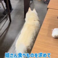 挨拶周りと食事がメイン
