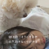 「そろそろ起きようよ」