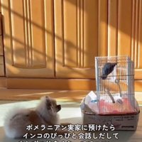 お互い気になってます