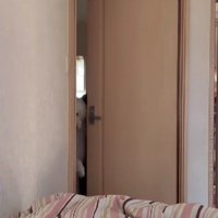 犯人は、なんと…