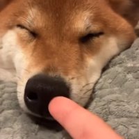 指をぐりぐり回す