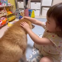 すずちゃんを見る娘さん