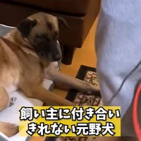 パパが熱唱している時のアキちゃん2