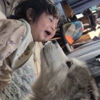 オスの犬に顔を近づけられて笑顔になる赤ちゃん