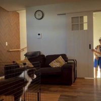 子どもたちへの素敵なサプライズ