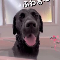 思わず大あくび