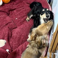 とっても仲良し♪