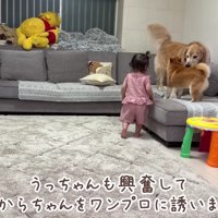 さっそくワンプロ開始！
