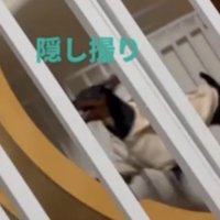 柵超しに撮影された犬