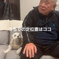 おじいちゃんの横に座る小型犬