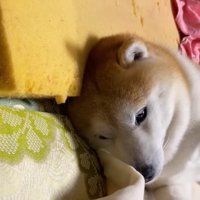 「どうしようかな…」