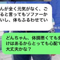 どんちゃんの元気がない