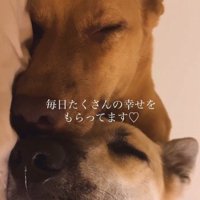 JayくんとJohnnyくん2