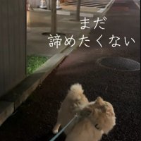 「諦めたくない…！！」