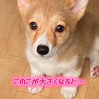 小さかったおもちちゃんも…