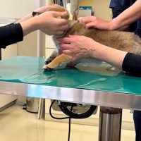 エールが白熱するスタッフさん