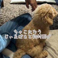 ちゃこたろう君と祖父母の初対面