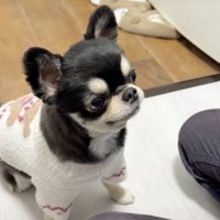 お利口さん！！