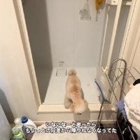 「これ…どうやるの？」