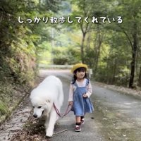 ゆっくりと散歩を楽しみます