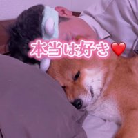 やっぱり大好き♡
