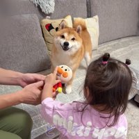 なんとか解決しました♪