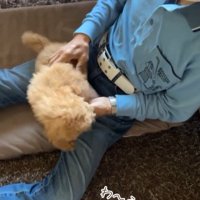 ちゃこたろう君と祖父母の初対面2