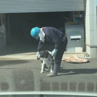 すうちゃんを撫で始めた♡