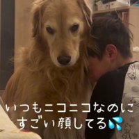 「うちの子に何してるの…！」