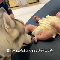優しいお兄ちゃんです