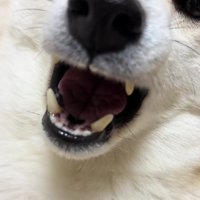 「あー」と声を出してみたら…