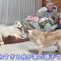 幸せな家族のひとときでした