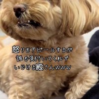 「ホラ、怒ってるよ…！！」