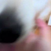 大歓喜する姿にホッコリ